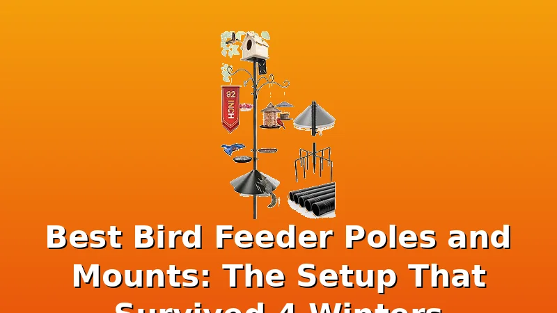 Best Bird Feeder Poles and Mounts: The Setup That Survived 4 Winters - FeederFen review with measurements and honest opinion