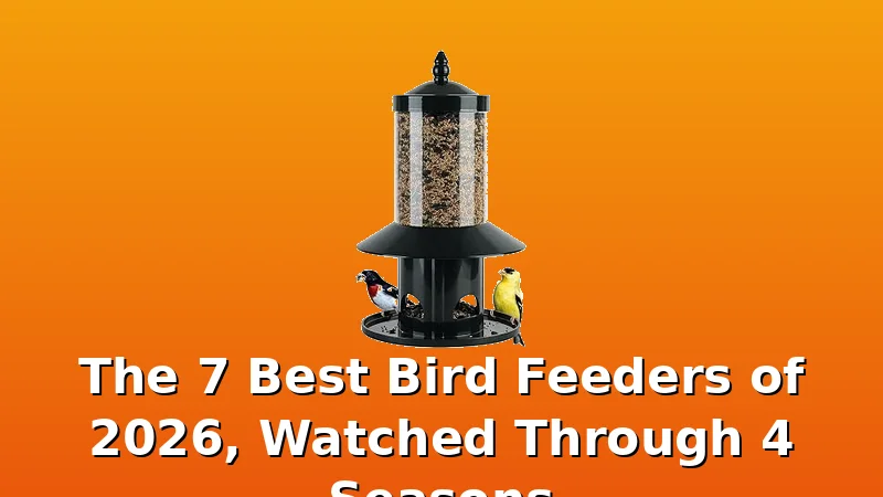 The 7 Best Bird Feeders of 2026, Watched Through 4 Seasons - FeederFen review with measurements and honest opinion