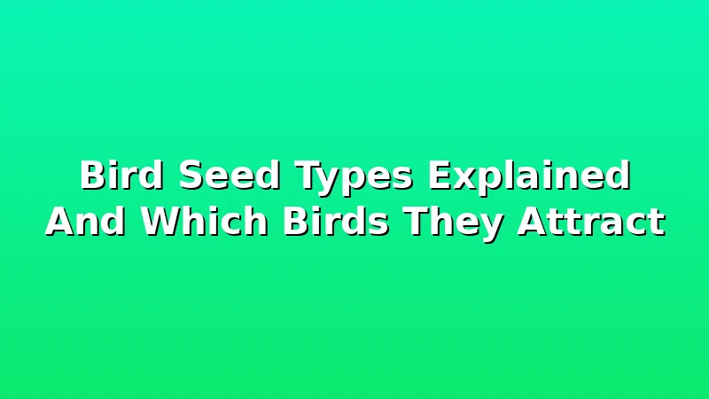 Bird Seed Types Explained And Which Birds They Attract - FeederFen review with measurements and honest opinion