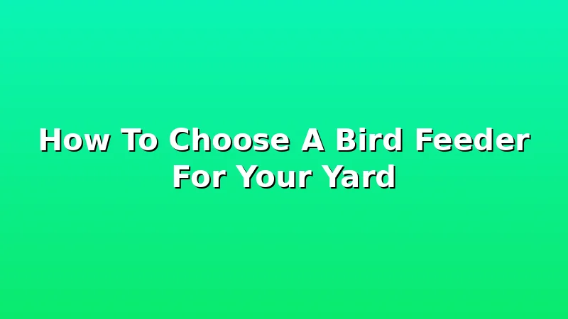 How To Choose A Bird Feeder For Your Yard - FeederFen review with measurements and honest opinion