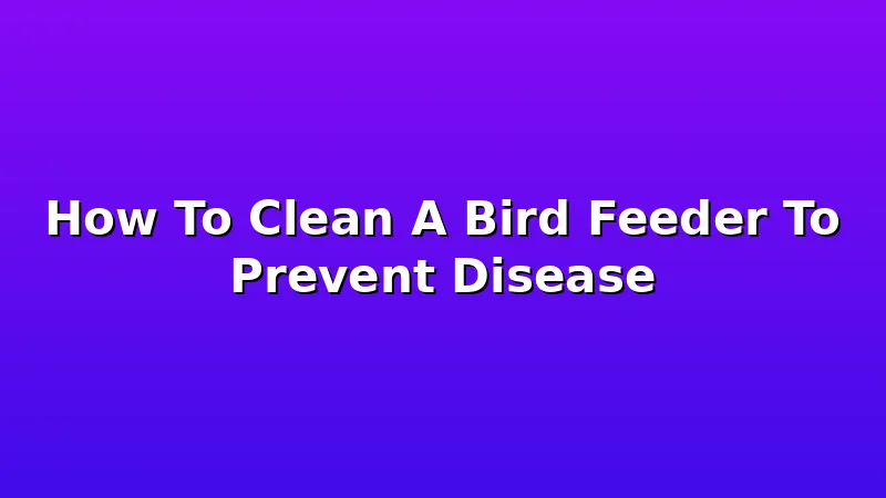 How To Clean A Bird Feeder To Prevent Disease - FeederFen review with measurements and honest opinion