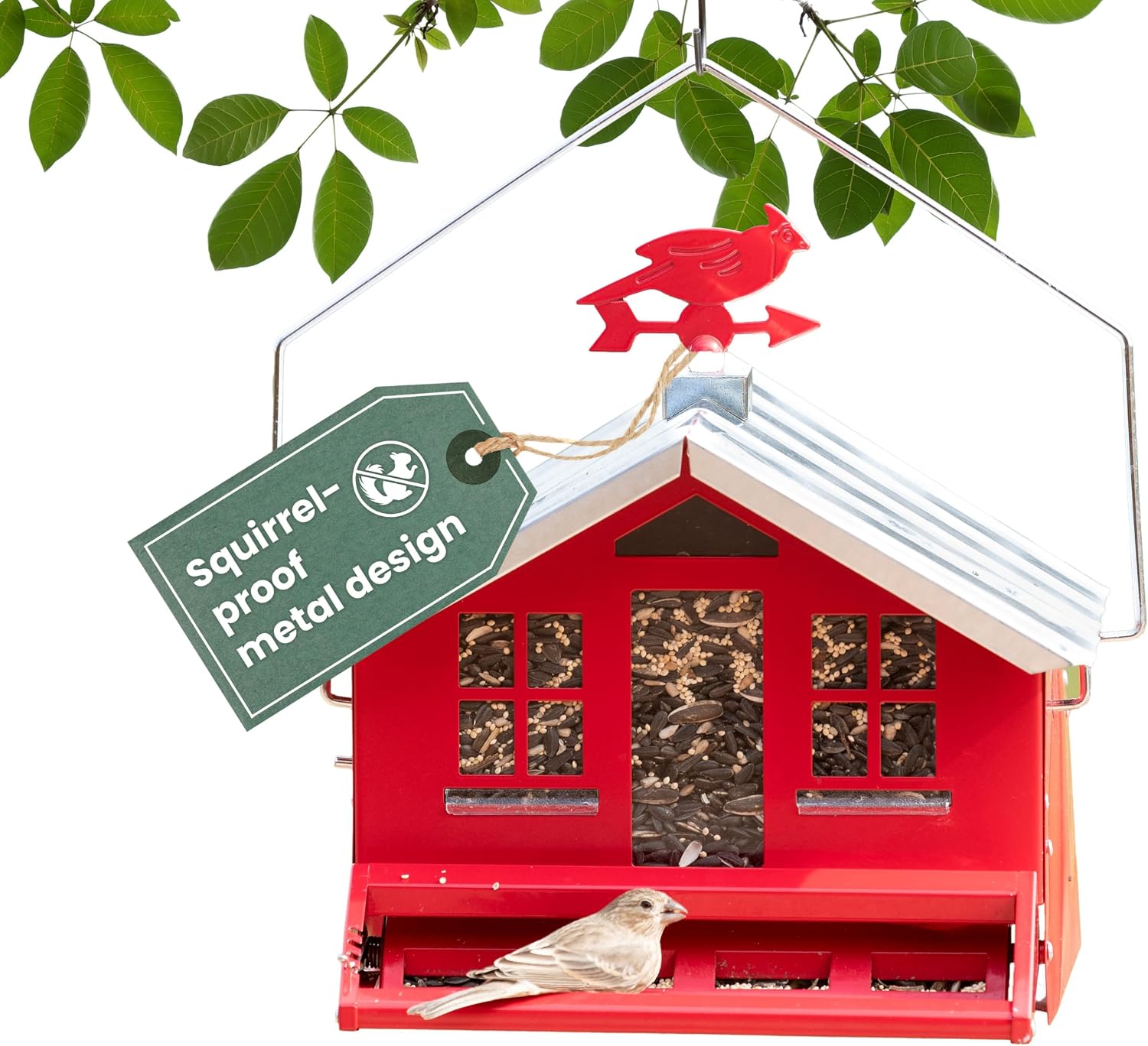 Perky-Pet Squirrel-Be-Gone II Country Style Bird Feeder, 8 lb Seed Capacity