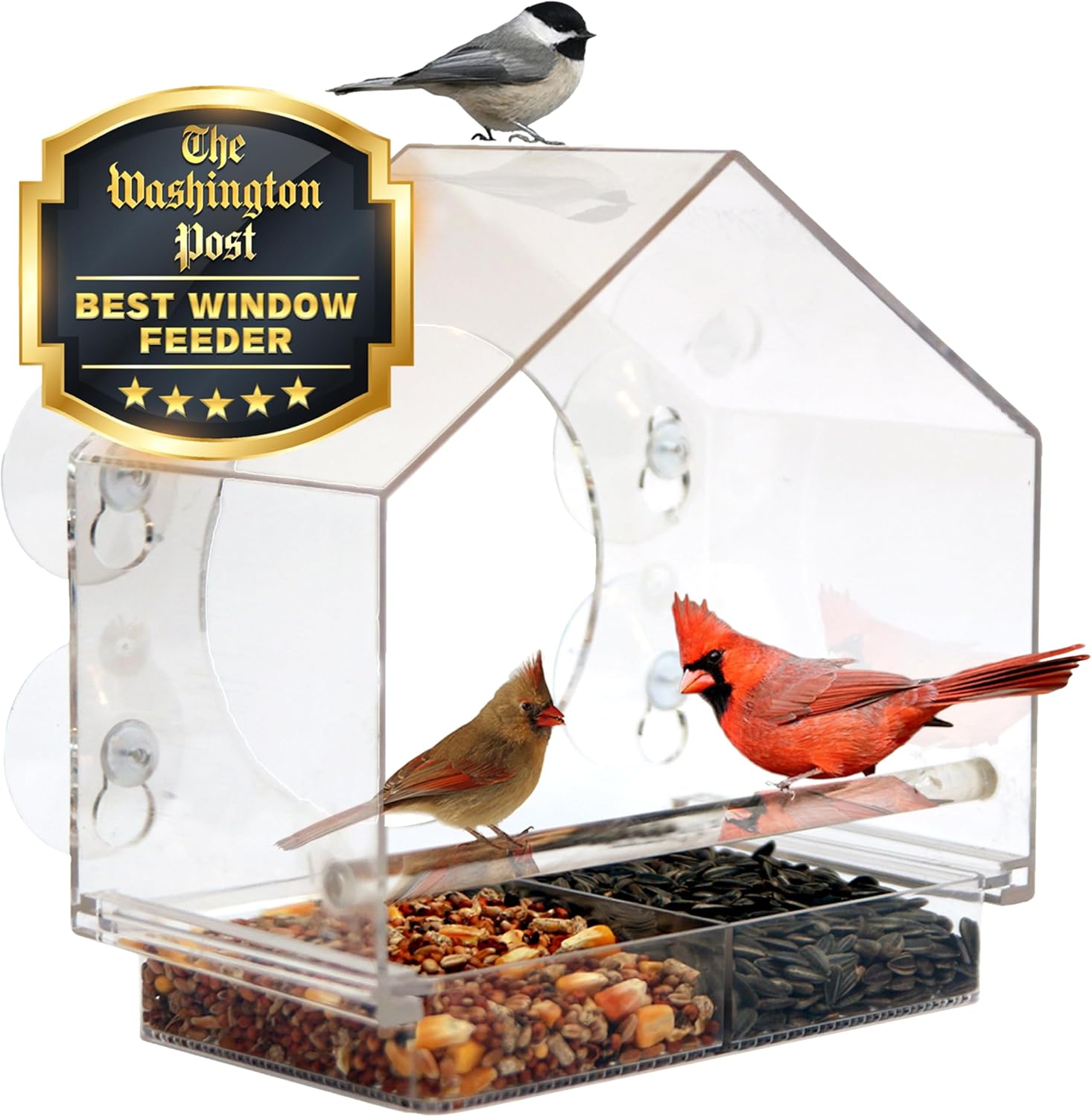 Window Bird Feeder with Strong Suction Cups (B00TI7OPP2)