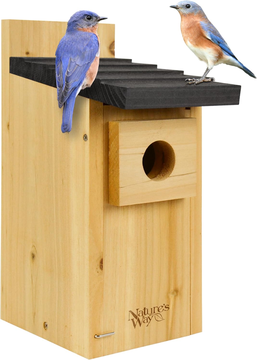 Wild Wings WWCH3 Cedar Blue Bird Box (B01N7G02XH)
