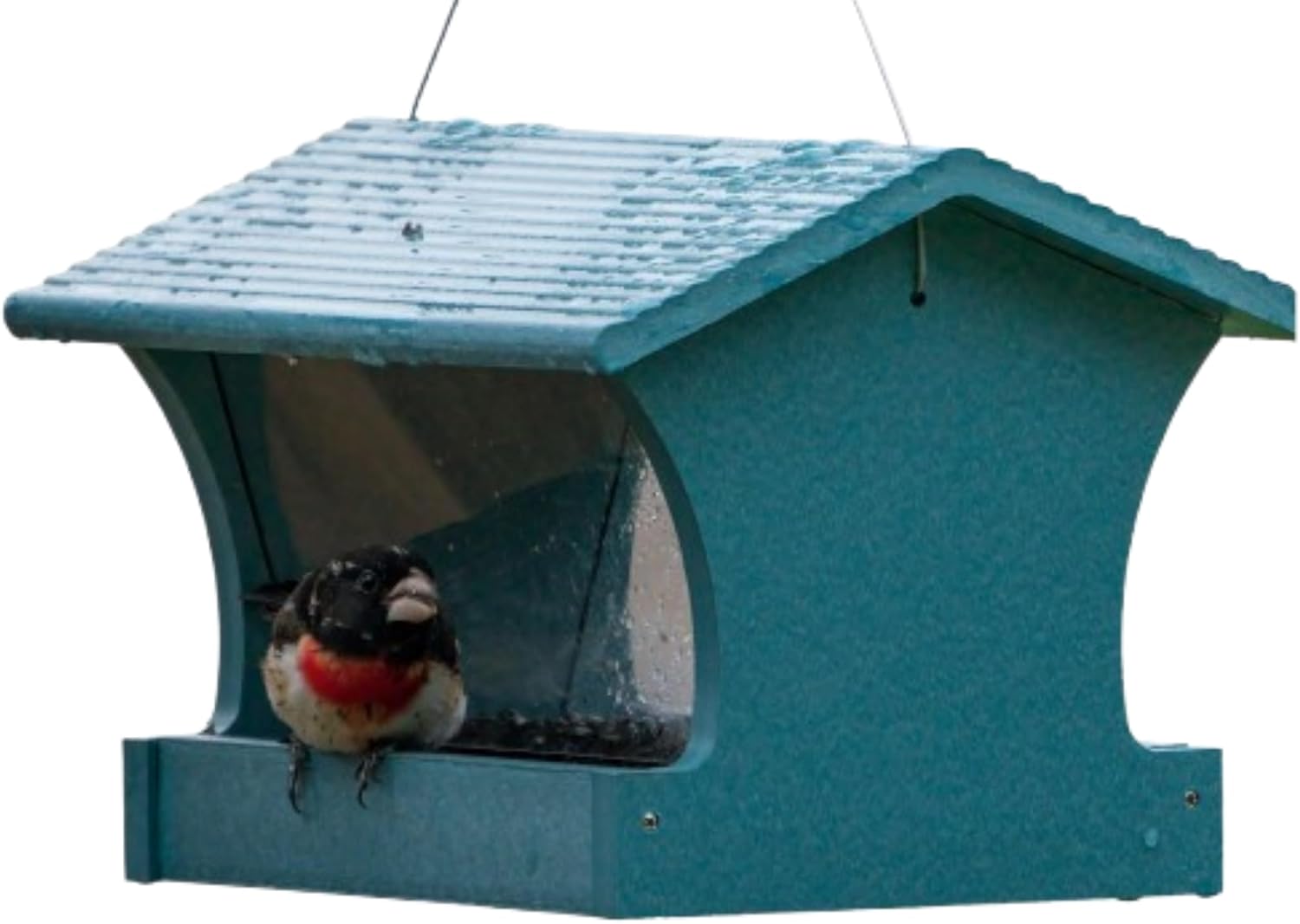 Birds Choice Medium Hopper (B0BGX427ZH)