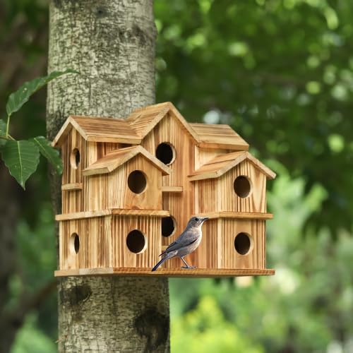 10 Hole Bird House (B0CBRHLV9F)