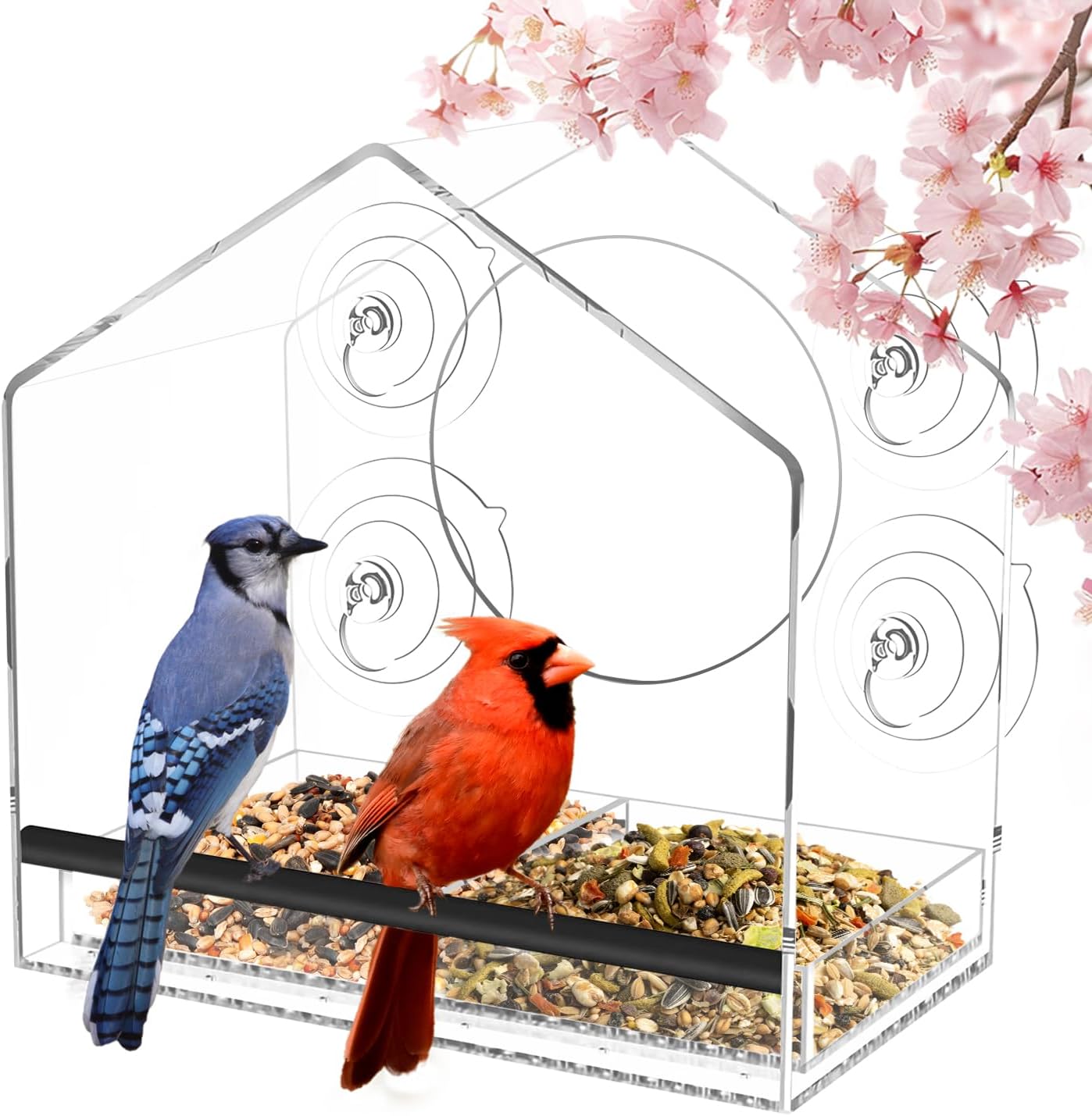 Clear Window Bird Feeder with Strong Suction Cups