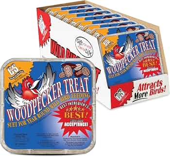 C&S Woodpecker Suet Treat, Outdoor Wild Bird Food for Woodpeckers, Flickers and More, 8 Pack