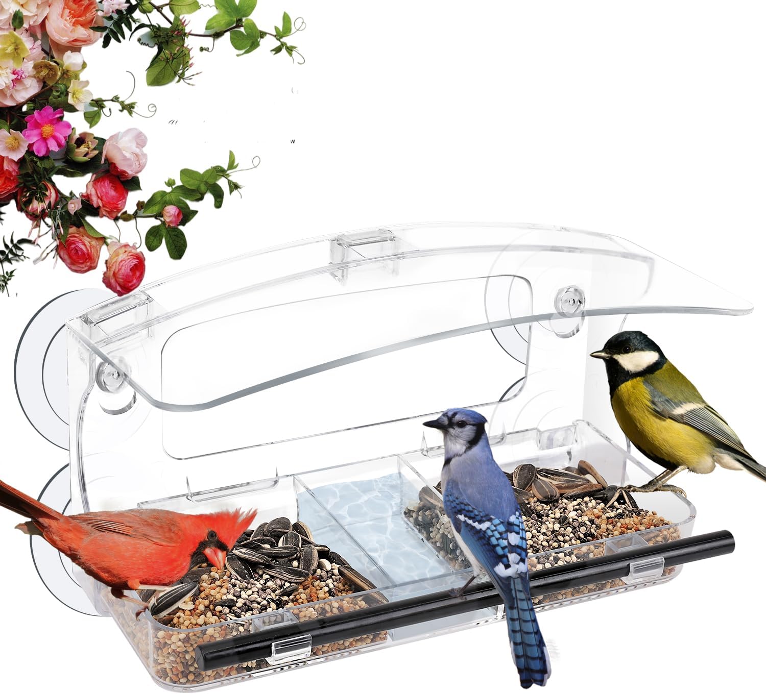 Window Bird Feeder with 4 Strong Suction Cup