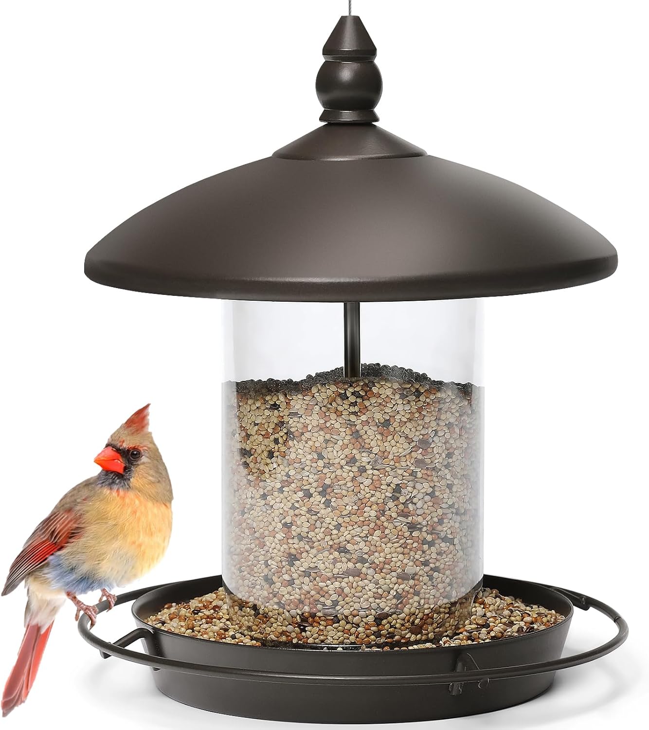 Youvip Metal Roof Bird Feeder (B0DK153SH2)