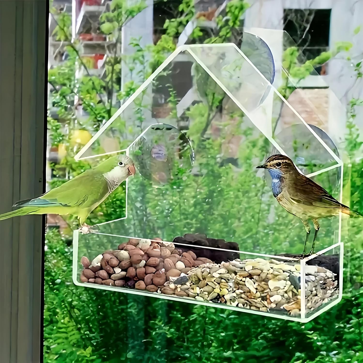 Clear Acrylic Window-Mounted Bird Feeder, Easy Clean Design for Up-Close Bird Watching
