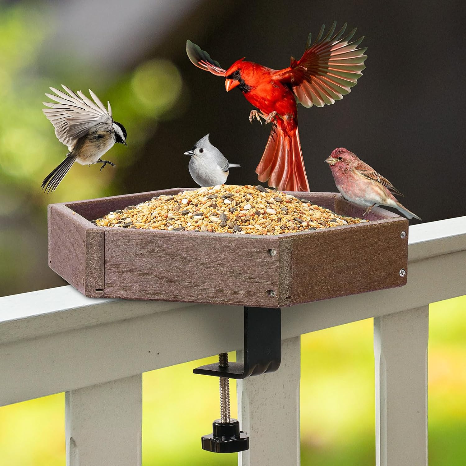 Kingsyard Clamp-On Deck Bird Feeder for Balcony Railings, No Drill