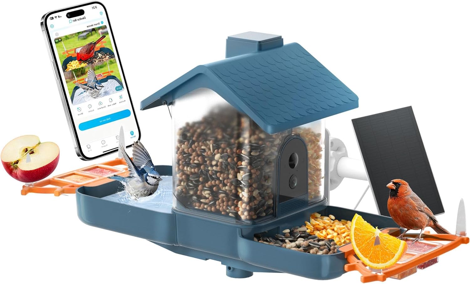 Smart Solar Bird Feeder with Camera &amp; Outdoor Bird Bath
