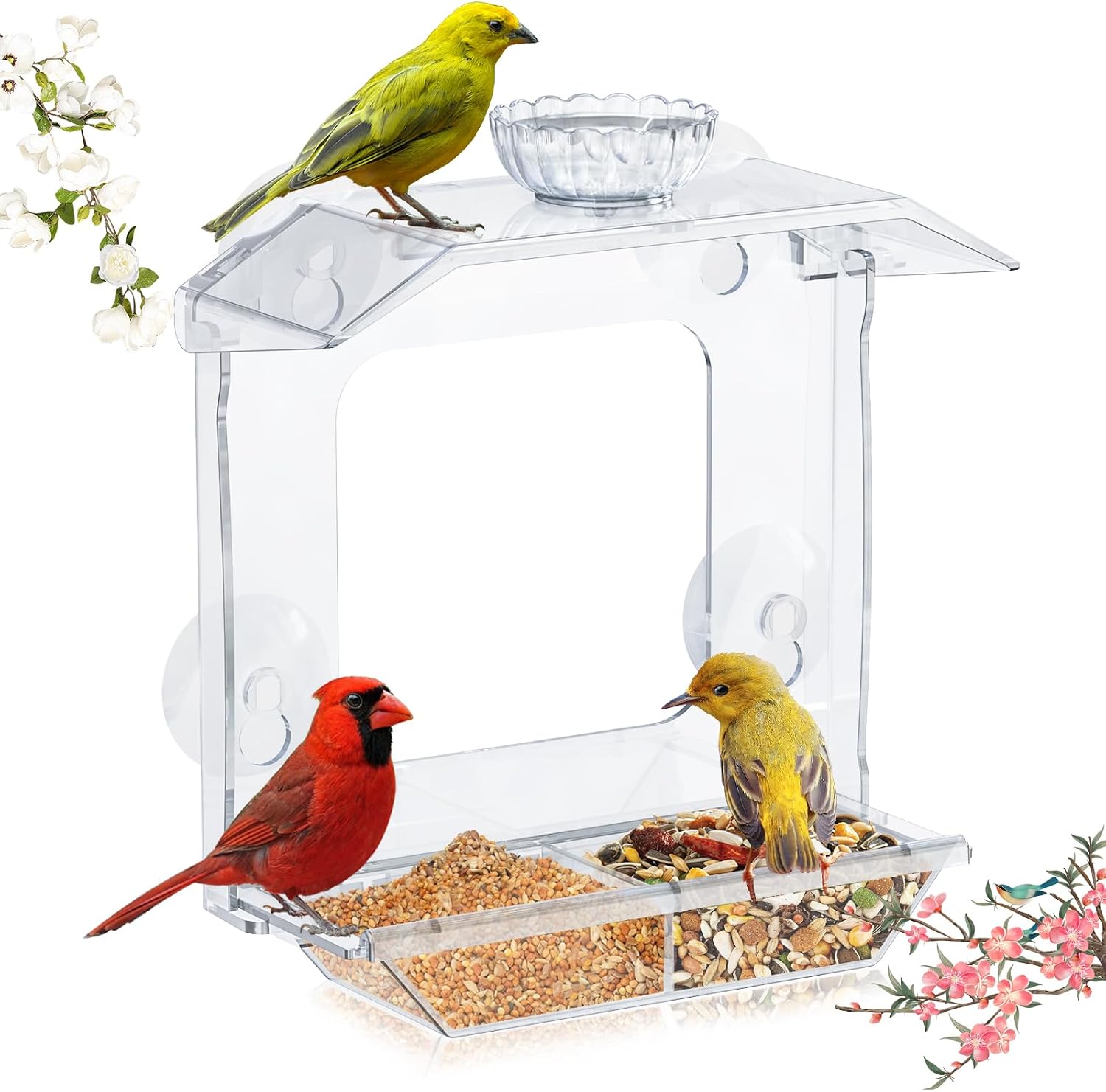 Clear Window Bird Feeder with Strong Suction Cups, dual seed tray and water bowl