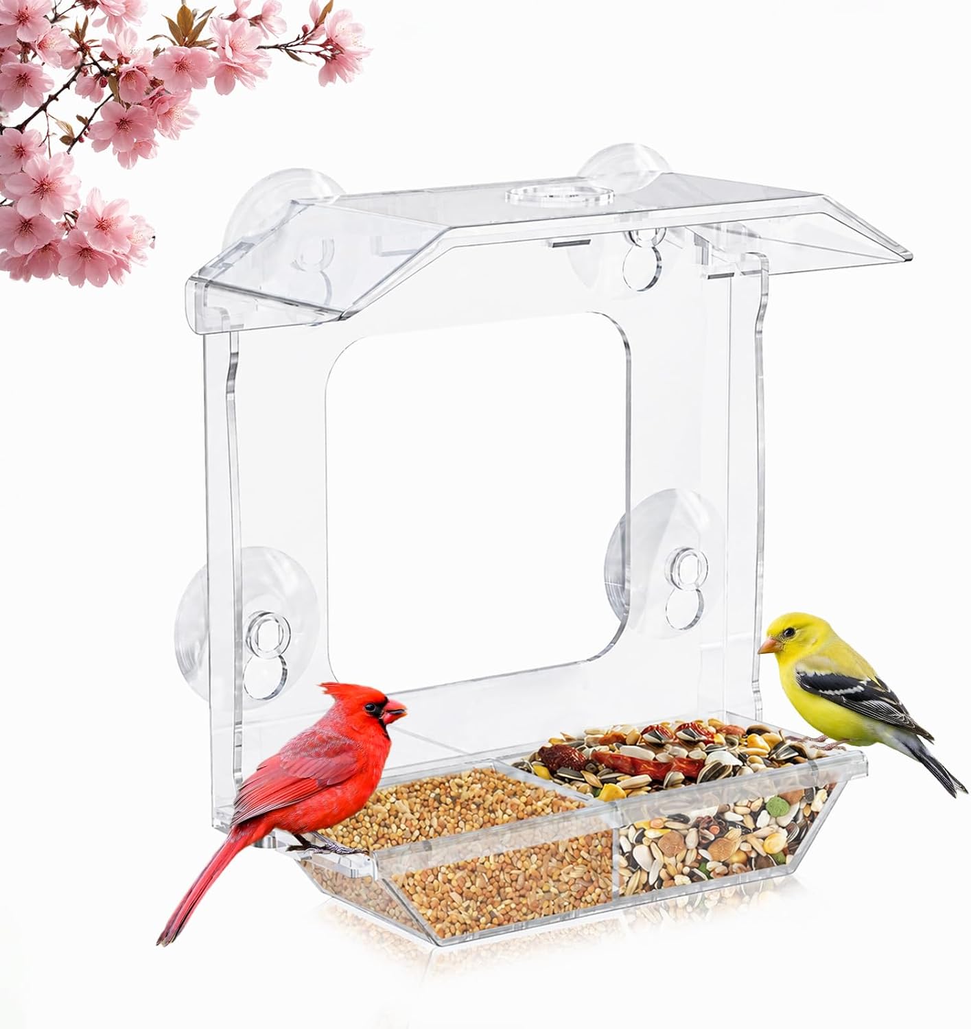 Window Bird Feeder with 4 Extra Strong Suction Cups (2.5 Inch)
