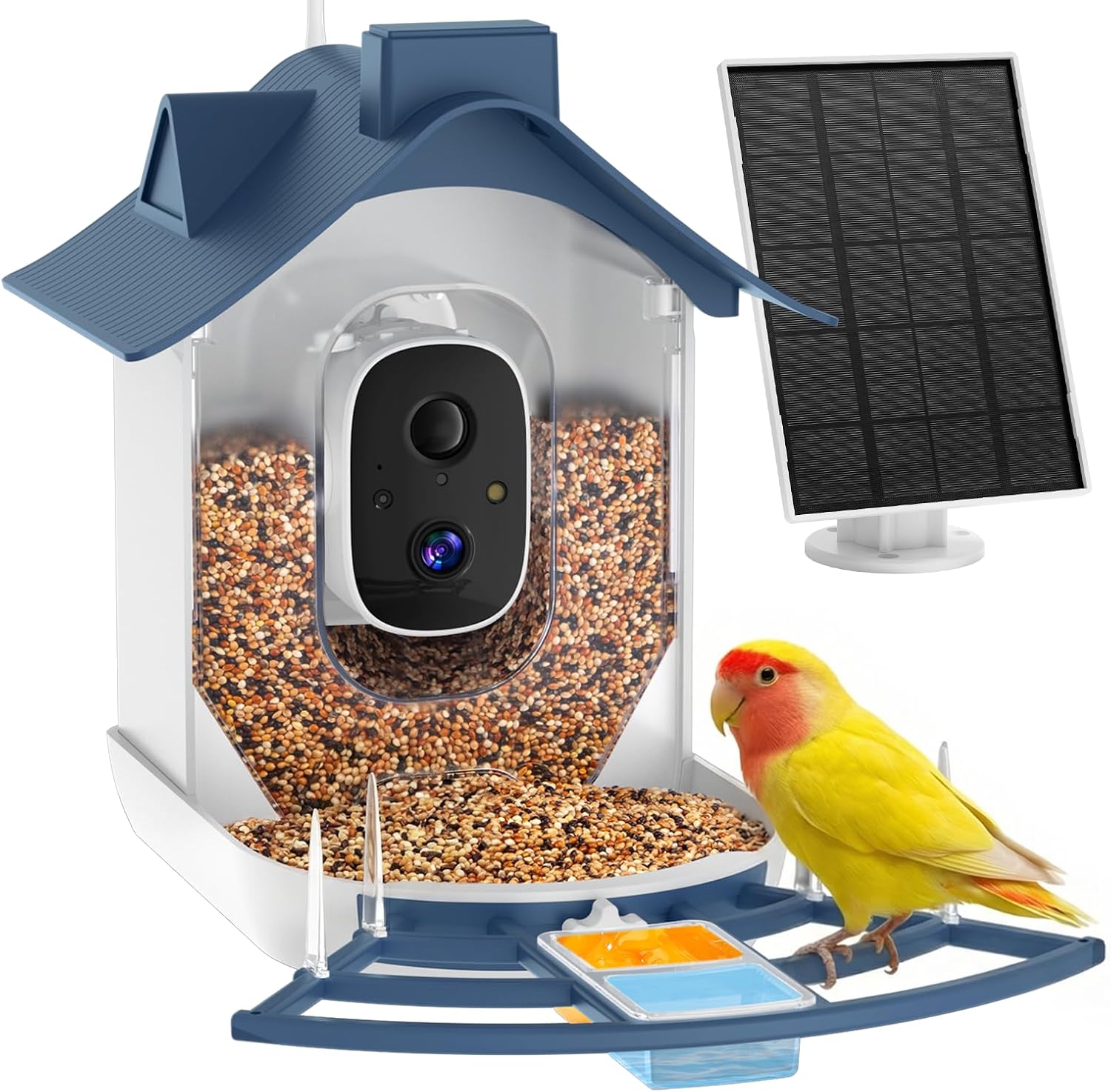 Smart Bird Feeder with Camera, AI Bird Identification, Solar Powered Wireless Outdoor Bird Watching Camera, Auto Capture Video &amp; Instant Notifications for Bird Lovers