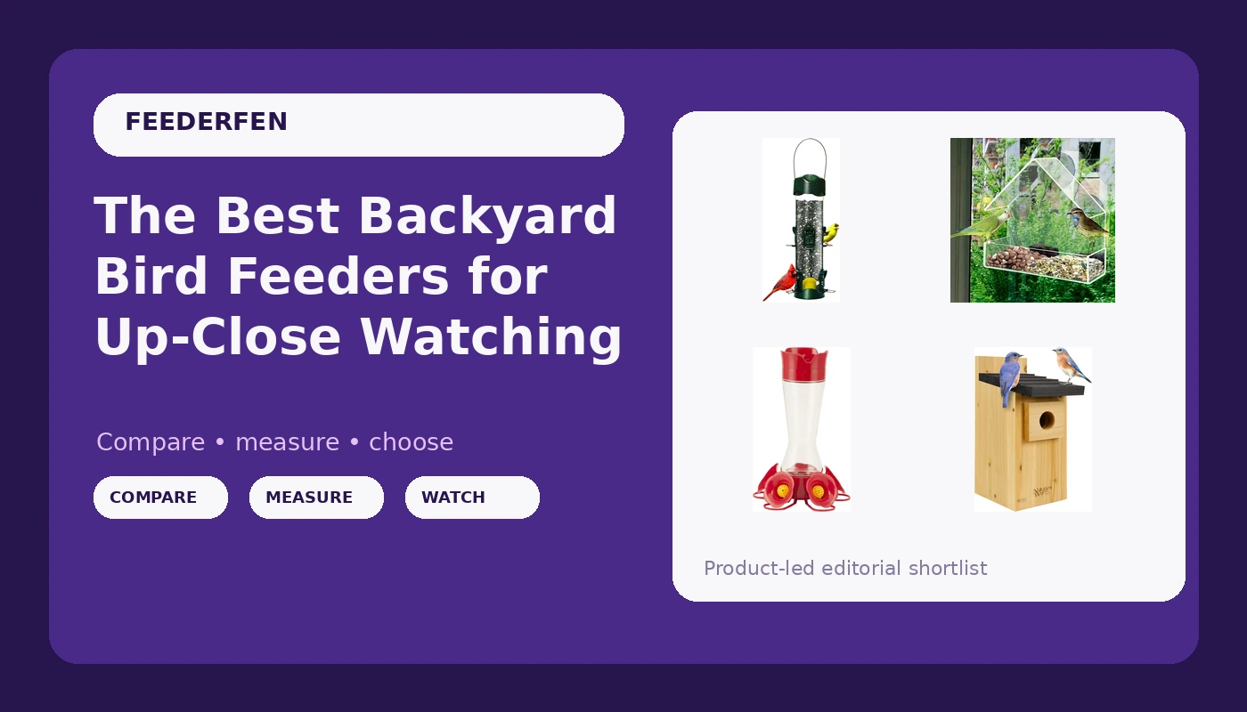 The Best Backyard Bird Feeders for Up-Close Watching